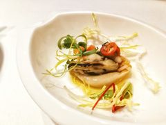 青口贝-蝶舍·MAISON PAPILLON