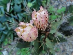 -Club Med地中海俱乐部·桂林度假村