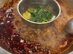 -金鼎雪山牦牛杂火锅(理县总店)