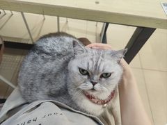 -Oasis绿洲银饰珍珠手作diy(壹方城店)