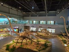 -自贡恐龙博物馆