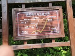 -五女峰国家森林公园