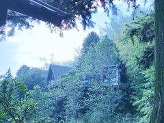 -长沙黑麋峰国家森林公园