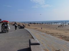 -日照海滨国家森林公园