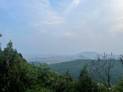 -府君山公园