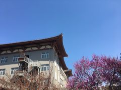 -西安青龙寺遗址景区