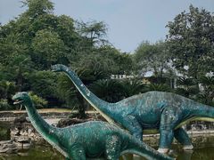 -自贡恐龙博物馆