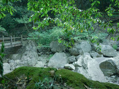 -湖州龙王山景区