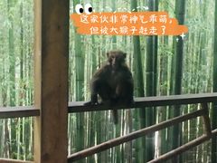 -重庆雨台山风景区