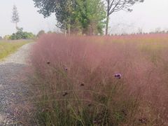 -汉长安城未央宫国家考古遗址公园