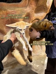 -Zoolung Zoolung动物主题公园(海信广场店)