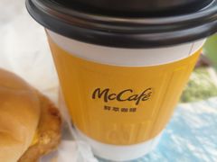 -麦当劳(红旗路店)