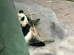 -青藏高原野生动物园