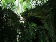 -龙宫洞风景区