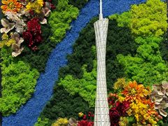 -云溪植物园