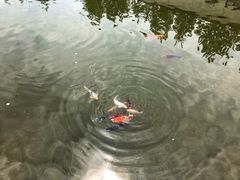 -渔堂公园餐厅·本帮菜(乐园路店)