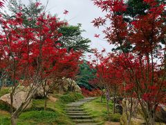 -广州市帽峰山景区