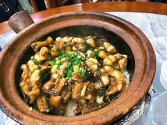 -红星光发煲仔饭(大石街店)