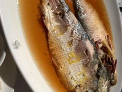 招牌中式清蒸鲥鱼-苏浙汇(古北店)
