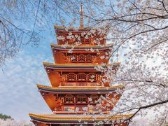 -东湖磨山景区