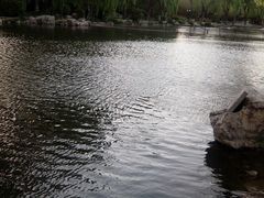 -紫竹院公园冰场