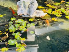 -上海方塔园-何陋轩