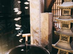 -空蝉怀石料理(益丰·外滩源店)