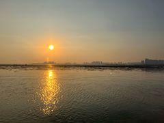 -红树林天天赶海