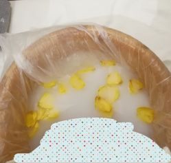 -奥斯芬欧系贵族SPA