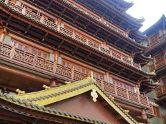 -大佛寺高级素食自助餐厅