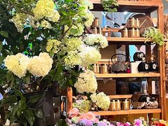 -花二家·生活馆(六运小区店)