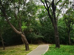 -元大都城垣遗址公园