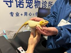 -守诺宠物医院·眼科· 特色牙科·异宠专科(虹口店)