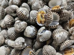 -北京泰富酒店-柏景轩中餐厅