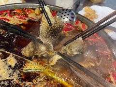-菜园坝老火锅(金岛店)