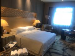 -西安赛瑞喜来登大酒店