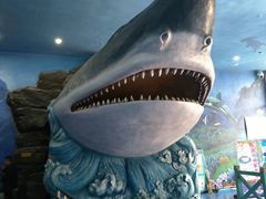 -多彩贵州城极地海洋世界