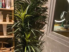 -施奈儿.洗头頭療.按摩SPA.采耳(上梅林店)