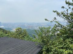 -茶颜悦色(岳麓山顶店)