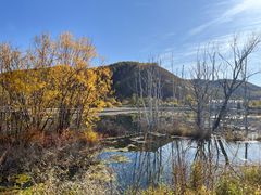 -洮儿河国家湿地公园