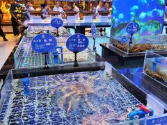 -华膳楼·安徽地标美食·中华餐饮名店(文化公园店)