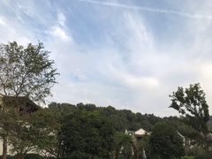 -杭州花家山庄