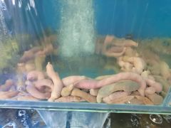 -小郭私房菜·海肠捞饭店(学士街店)