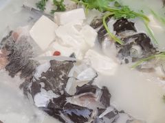 -宝荣鱼馆·临湖之宴(千岛湖店)