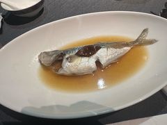 陈皮蒸巴浪鱼-广舟(千禧店)