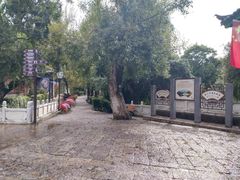 -黑龙潭公园