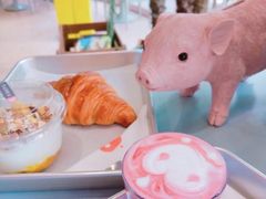 -WHEN PIGS FLY当猪飞