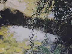 -黄花溪