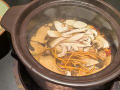 -季季山•云南野生菌火锅(上海首店)