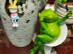 -花鸟鱼虫鲜花绿植市场(玉泉路店)